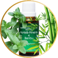hortela pimenta e bambu
